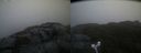 ./images/calvert/buxton2/20231109/buxton220231109_160003M.jpg