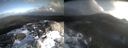 ./images/calvert/buxton2/20231226/buxton220231226_121501M.jpg