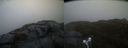 ./images/calvert/buxton2/20231230/buxton220231230_160501M.jpg
