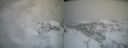 ./images/calvert/buxton2/20240109/buxton220240109_115002M.jpg