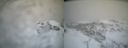 ./images/calvert/buxton2/20240109/buxton220240109_124502M.jpg