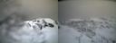 ./images/calvert/buxton2/20240109/buxton220240109_152502M.jpg