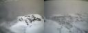 ./images/calvert/buxton2/20240110/buxton220240110_135002M.jpg