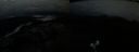 ./images/calvert/buxton2/20240201/buxton220240201_175003M.jpg