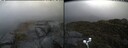 ./images/calvert/buxton2/20250428/buxton220250428_084511M.jpg