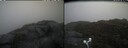 ./images/calvert/buxton2/20250502/buxton220250502_125508M.jpg