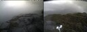 ./images/calvert/buxton2/20250506/buxton220250506_110510M.jpg