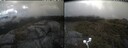 ./images/calvert/buxton2/20250511/buxton220250511_133011M.jpg