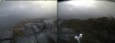 ./images/calvert/buxton2/20250516/buxton220250516_063009M.jpg