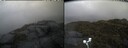./images/calvert/buxton2/20250520/buxton220250520_095509M.jpg