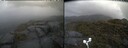 ./images/calvert/buxton2/20250527/buxton220250527_124511M.jpg
