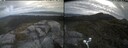 ./images/calvert/buxton2/20250528/buxton220250528_114010M.jpg