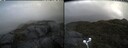 ./images/calvert/buxton2/20250530/buxton220250530_125510M.jpg