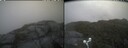 ./images/calvert/buxton2/20250625/buxton220250625_105510M.jpg