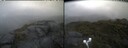 ./images/calvert/buxton2/20250627/buxton220250627_102510M.jpg