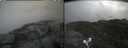 ./images/calvert/buxton2/20250629/buxton220250629_123510M.jpg