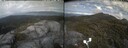 ./images/calvert/buxton2/20250629/buxton220250629_165509M.jpg