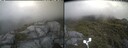 ./images/calvert/buxton2/20250708/buxton220250708_155510M.jpg