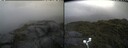 ./images/calvert/buxton2/20250805/buxton220250805_185010M.jpg