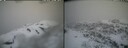 ./images/calvert/buxton2/20260320/buxton220260320_113501M.jpg