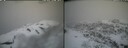 ./images/calvert/buxton2/20260320/buxton220260320_120001M.jpg