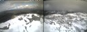 ./images/calvert/buxton2/20260322/buxton220260322_144002M.jpg