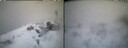 ./images/calvert/buxton2/20260323/buxton220260323_074001M.jpg