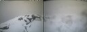 ./images/calvert/buxton2/20260323/buxton220260323_081001M.jpg