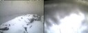 ./images/calvert/buxton2/20260324/buxton220260324_072501M.jpg