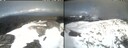 ./images/calvert/buxton2/20260329/buxton220260329_180501M.jpg