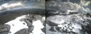 ./images/calvert/buxton2/20260402/buxton220260402_131502M.jpg