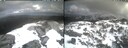 ./images/calvert/buxton2/20260416/buxton220260416_141001M.jpg