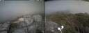 ./images/calvert/buxton2/20260526/buxton220260526_163501M.jpg