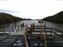 ./images/calvert/dock/20131219/dock20131219_090002.jpg