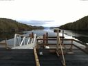 ./images/calvert/dock/20140107/dock20140107_114502.jpg