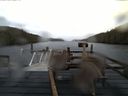 ./images/calvert/dock/20140108/dock20140108_094001.jpg