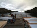 ./images/calvert/dock/20140313/dock20140313_141002.jpg