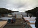 ./images/calvert/dock/20140313/dock20140313_141504.jpg