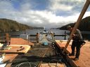 ./images/calvert/dock/20140314/dock20140314_135504.jpg