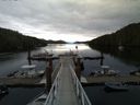 ./images/calvert/dock/20140520/dock20140520_064502.jpg