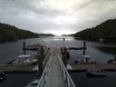./images/calvert/dock/20140520/dock20140520_071001.jpg