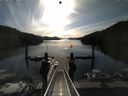 ./images/calvert/dock/20140527/dock20140527_081502.jpg
