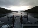 ./images/calvert/dock/20140528/dock20140528_064004.jpg