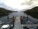 ./images/calvert/dock/20140529/dock20140529_061501.jpg