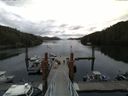 ./images/calvert/dock/20140529/dock20140529_085502.jpg