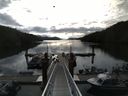 ./images/calvert/dock/20140604/dock20140604_075502.jpg
