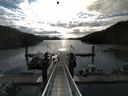 ./images/calvert/dock/20140604/dock20140604_081001.jpg