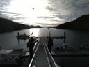 ./images/calvert/dock/20140606/dock20140606_073002.jpg