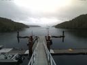 ./images/calvert/dock/20140608/dock20140608_091504.jpg
