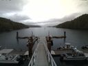 ./images/calvert/dock/20140608/dock20140608_193504.jpg
